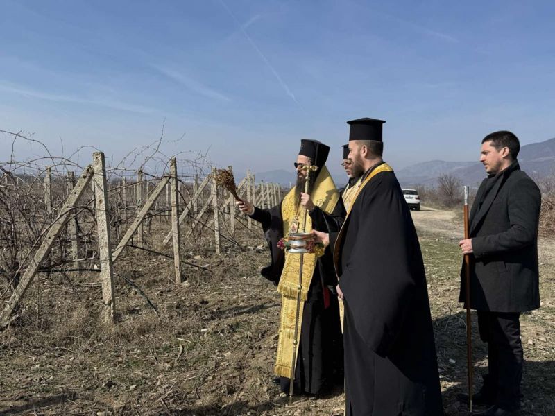 Сливенският митрополит Арсений благослови лозовите насаждения в с. Глушник